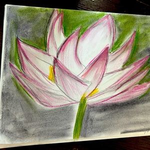 Pastel drawing of a water Lilly flower